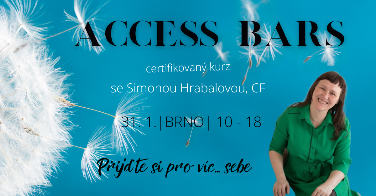 Access Bars kurz