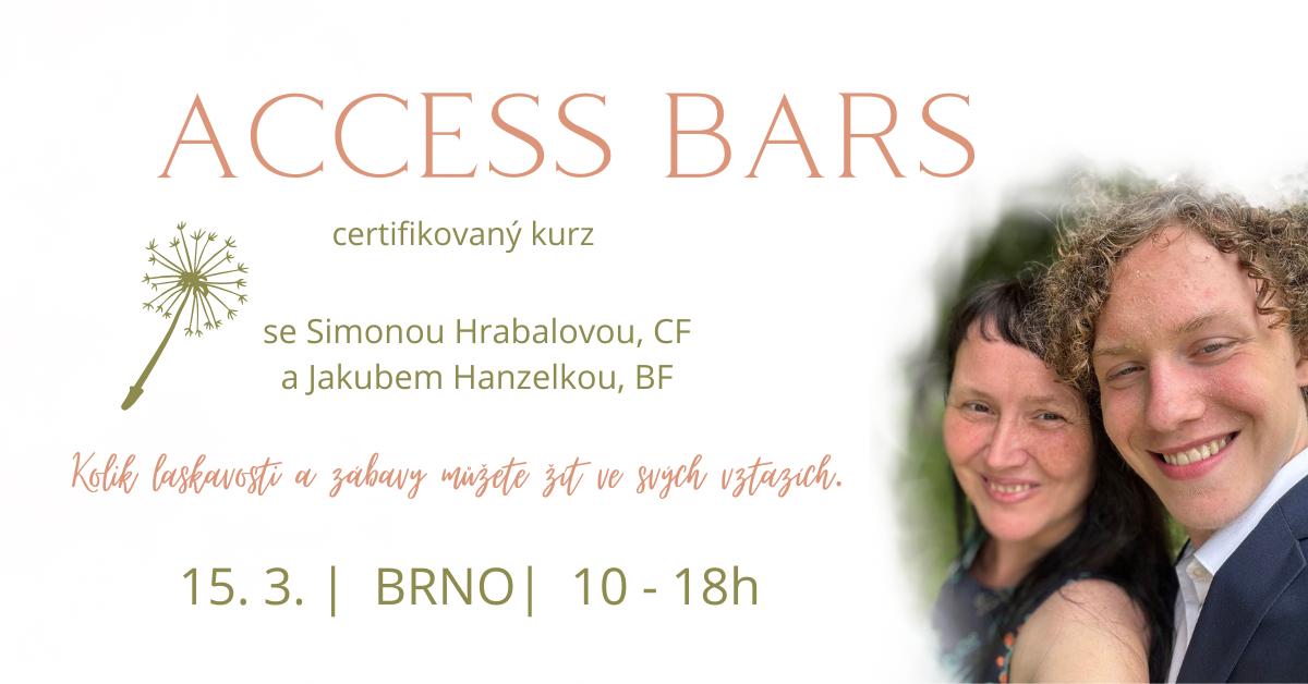 Access Bars