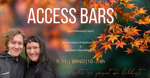 Bars Brno